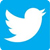Page TWITTER